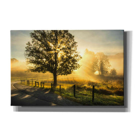 'Wake Up Call' by Danny Head, Canvas Wall Art