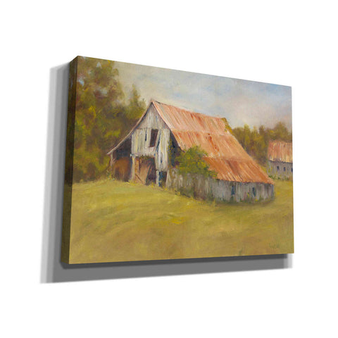 Image of 'Tin Roof' by Marilyn Wendling, Canvas Wall Art