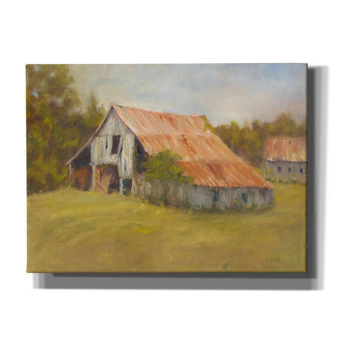Image of 'Tin Roof' by Marilyn Wendling, Canvas Wall Art