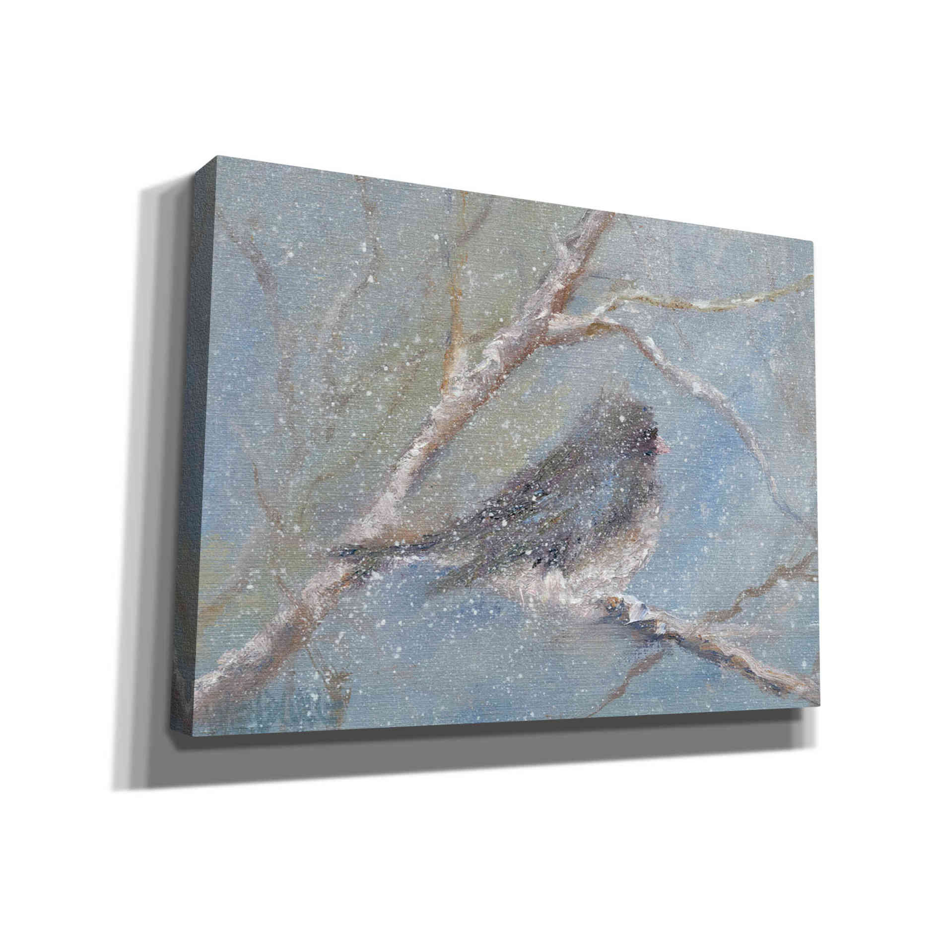 'Chance of Snow II' by Marilyn Wendling, Canvas Wall Art