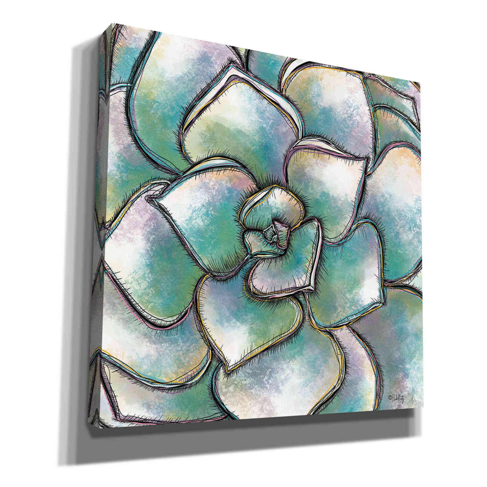 'Playful Succulent' by Heidi Kuntz, Canvas Wall Art