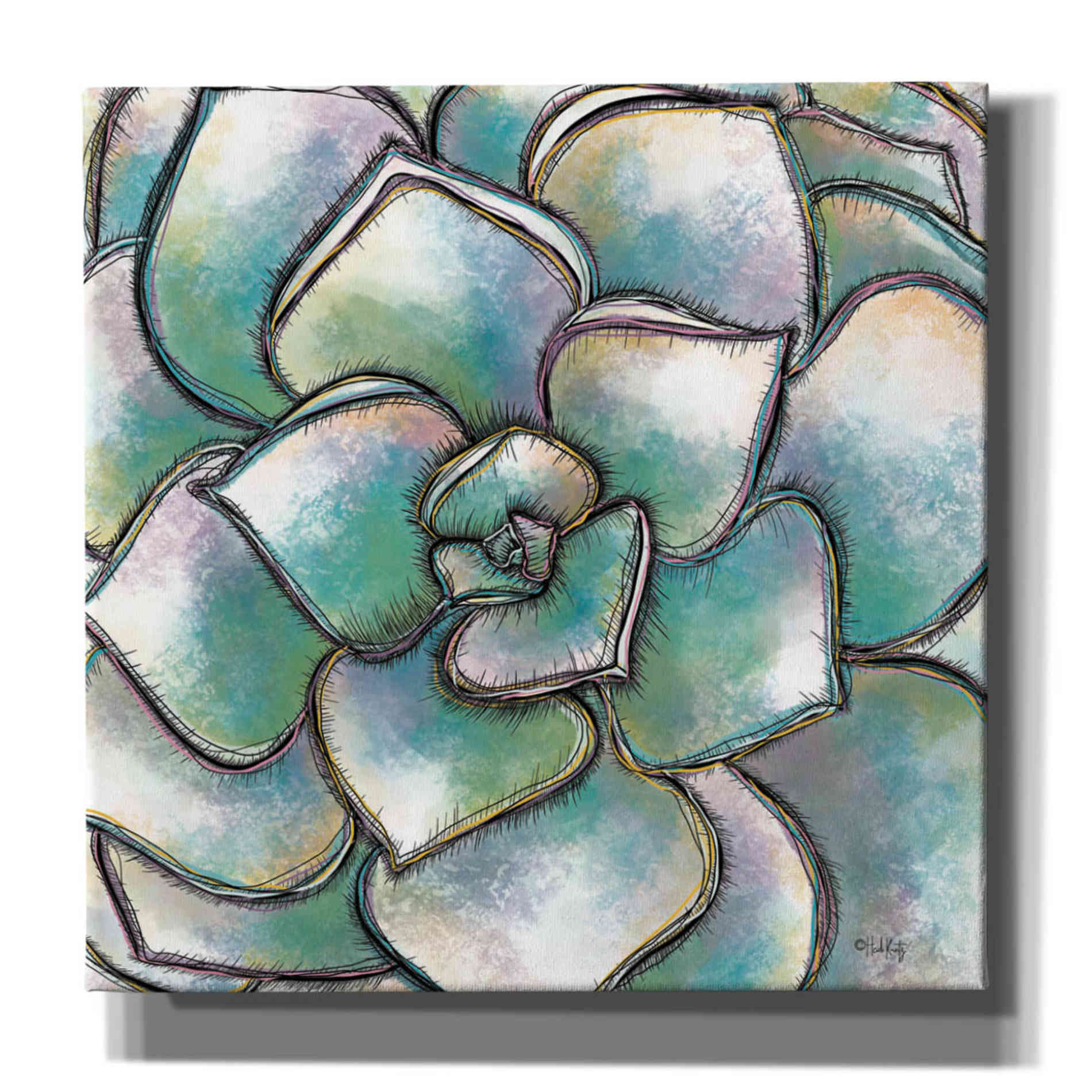 'Playful Succulent' by Heidi Kuntz, Canvas Wall Art