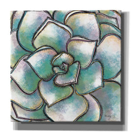 'Playful Succulent' by Heidi Kuntz, Canvas Wall Art