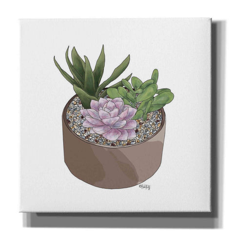 Image of 'Succulent Planter I' by Heidi Kuntz, Canvas Wall Art