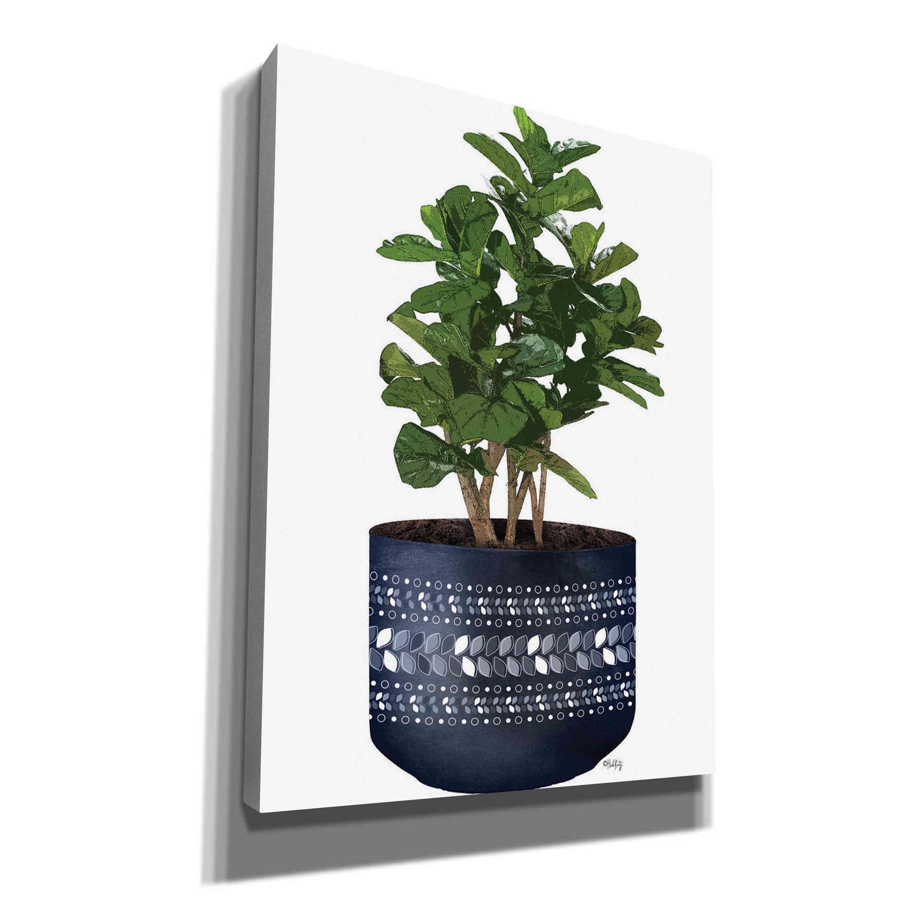 'Blue Potted Fig Tree' by Heidi Kuntz, Canvas Wall Art