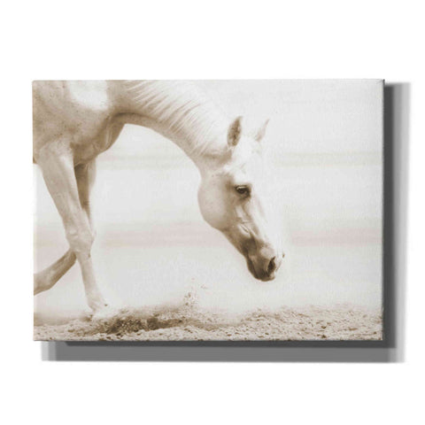Image of 'Trail Horse Sepia' by Kari Brooks, Canvas Wall Art