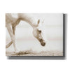 'Trail Horse Sepia' by Kari Brooks, Canvas Wall Art