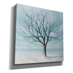 'Winter Tree' by Tim Gagnon, Canvas Wall Art