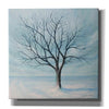 'Winter Tree' by Tim Gagnon, Canvas Wall Art