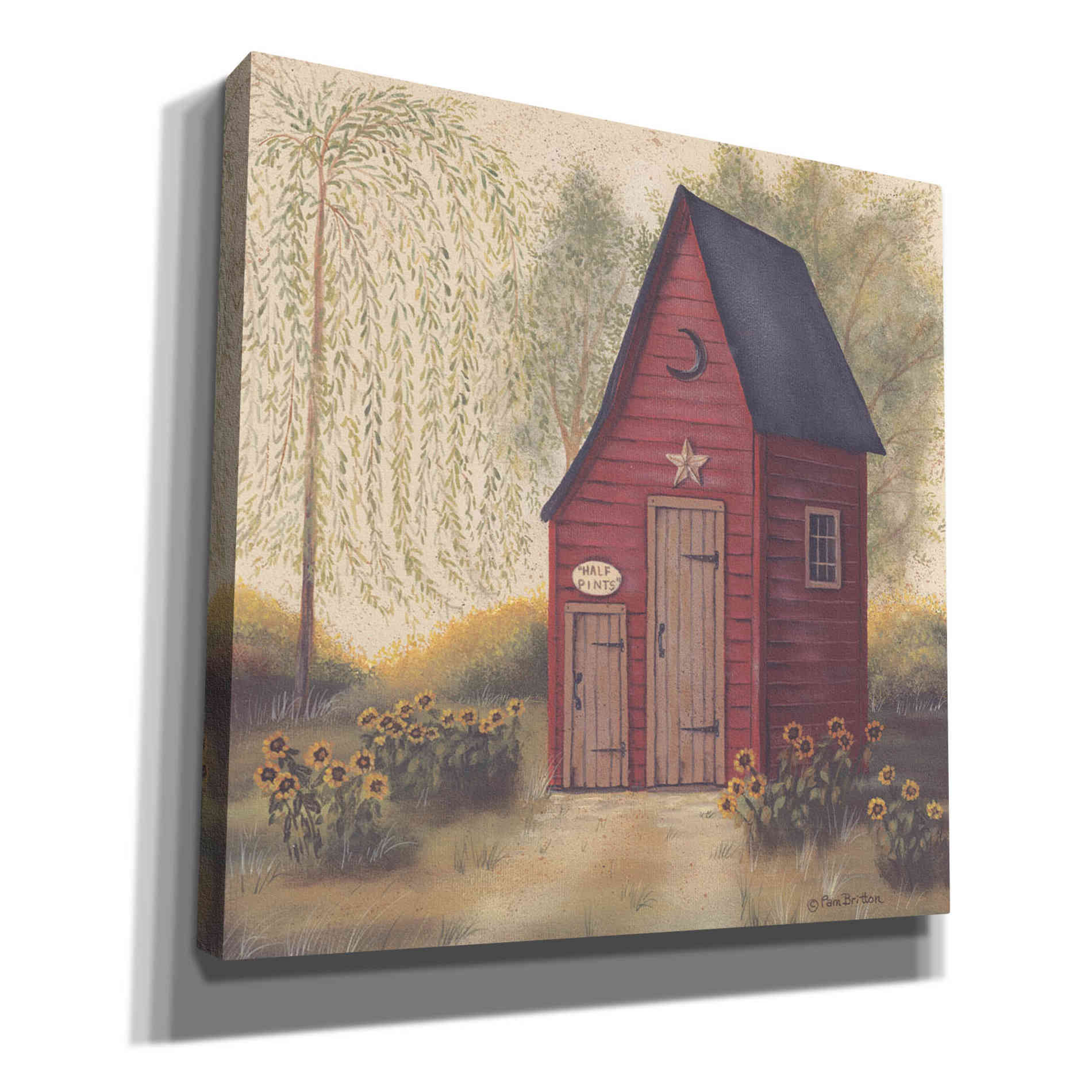 'Folk Art Outhouse II' by Pam Britton, Canvas Wall Art
