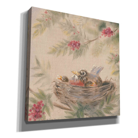 Image of 'Fledglings' by Pam Britton, Canvas Wall Art