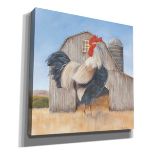 'Country Rooster' by Pam Britton, Canvas Wall Art