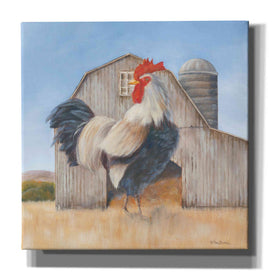 'Country Rooster' by Pam Britton, Canvas Wall Art