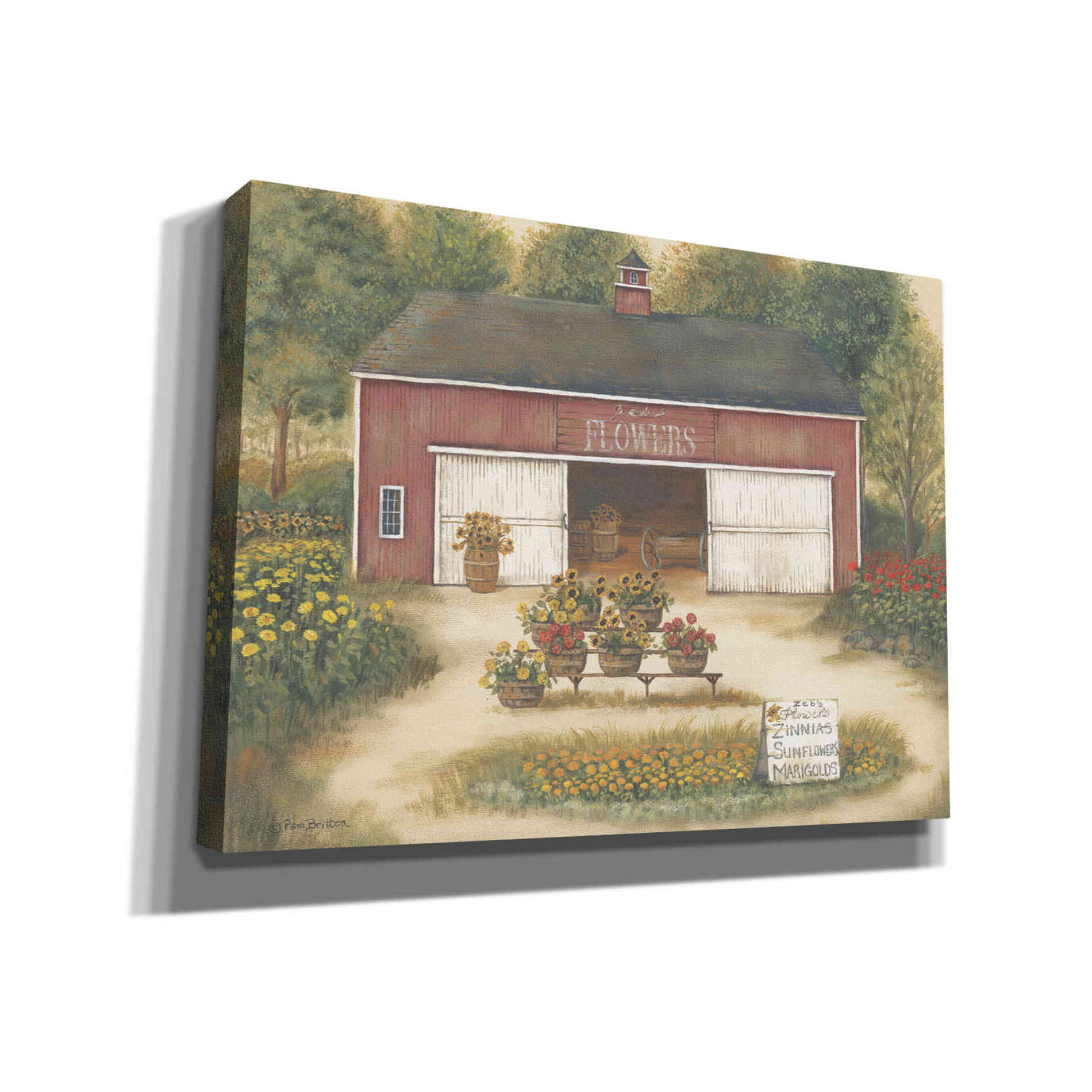 'Zeb's Flowers' by Pam Britton, Canvas Wall Art