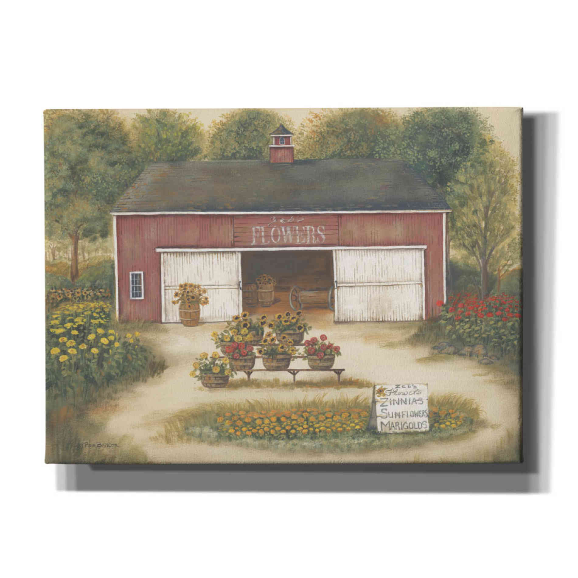 'Zeb's Flowers' by Pam Britton, Canvas Wall Art