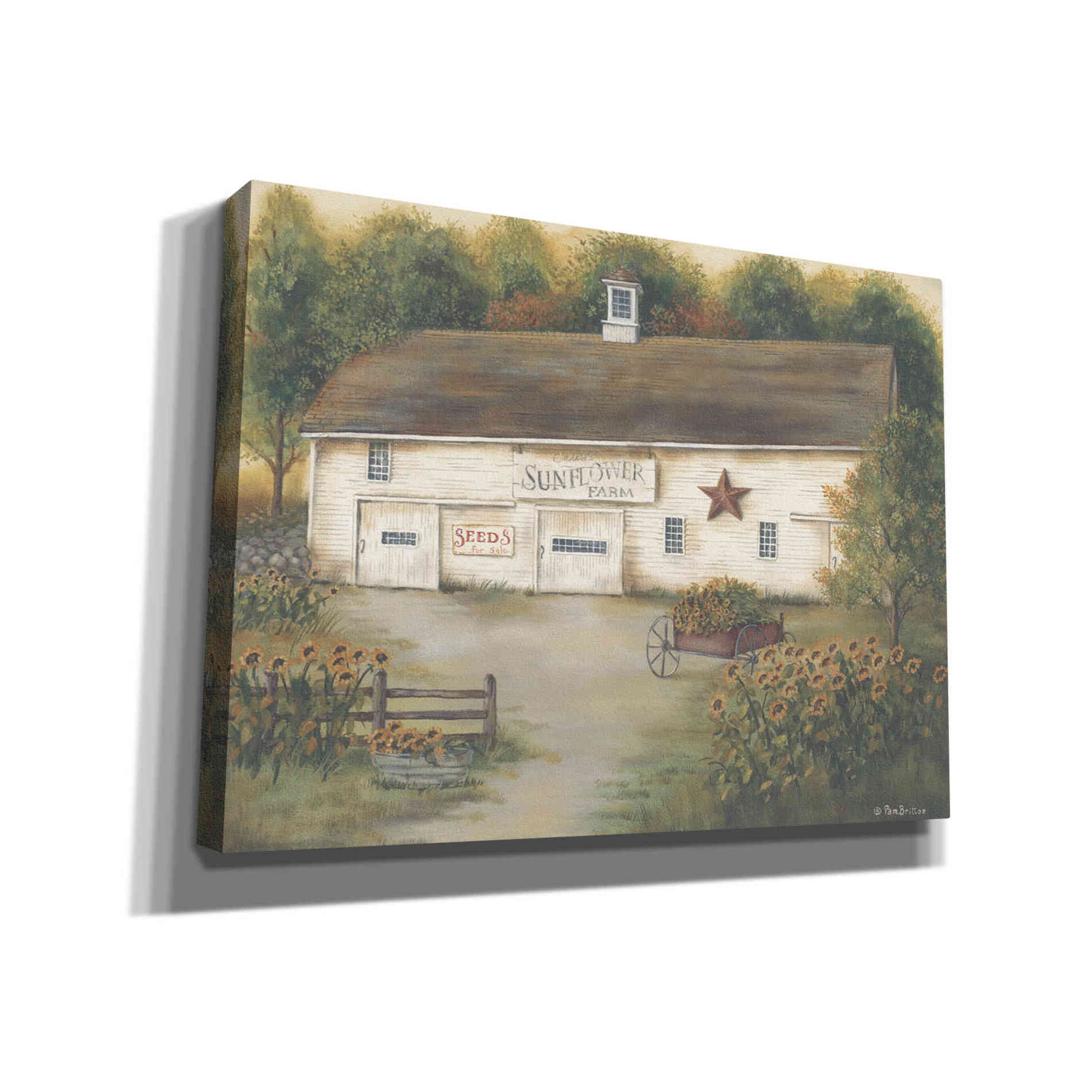 'Caleb's Sunflower Farm' by Pam Britton, Canvas Wall Art