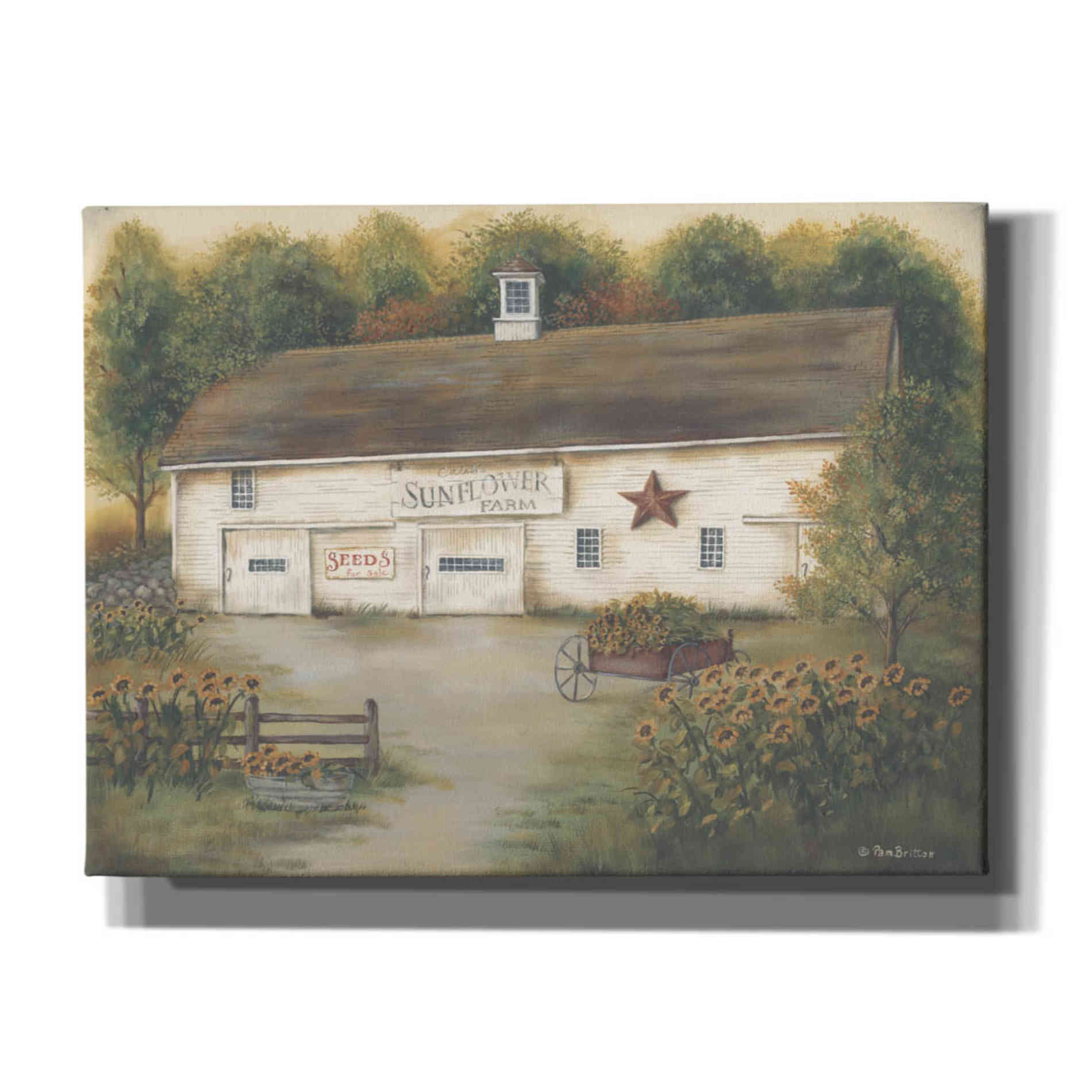 'Caleb's Sunflower Farm' by Pam Britton, Canvas Wall Art