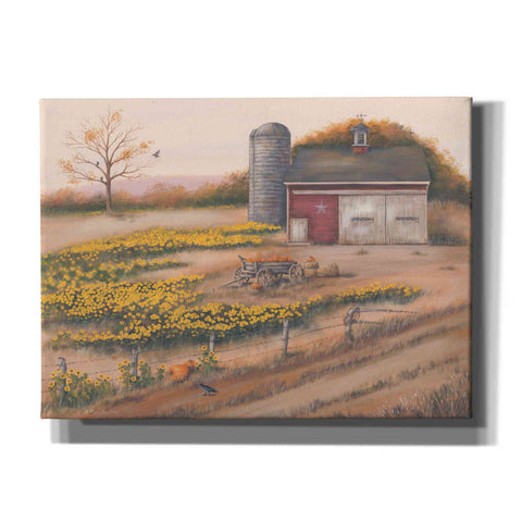 Image of 'Barn & Sunflowers I' by Pam Britton, Canvas Wall Art
