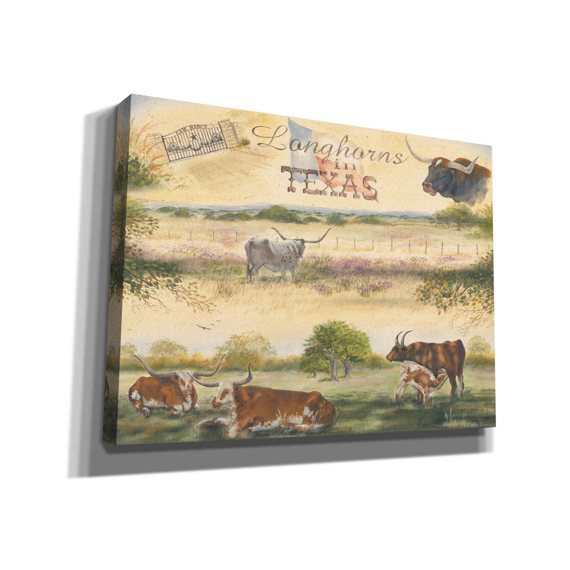 'Texas Collision V' by Pam Britton, Canvas Wall Art