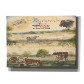 'Texas Collision V' by Pam Britton, Canvas Wall Art