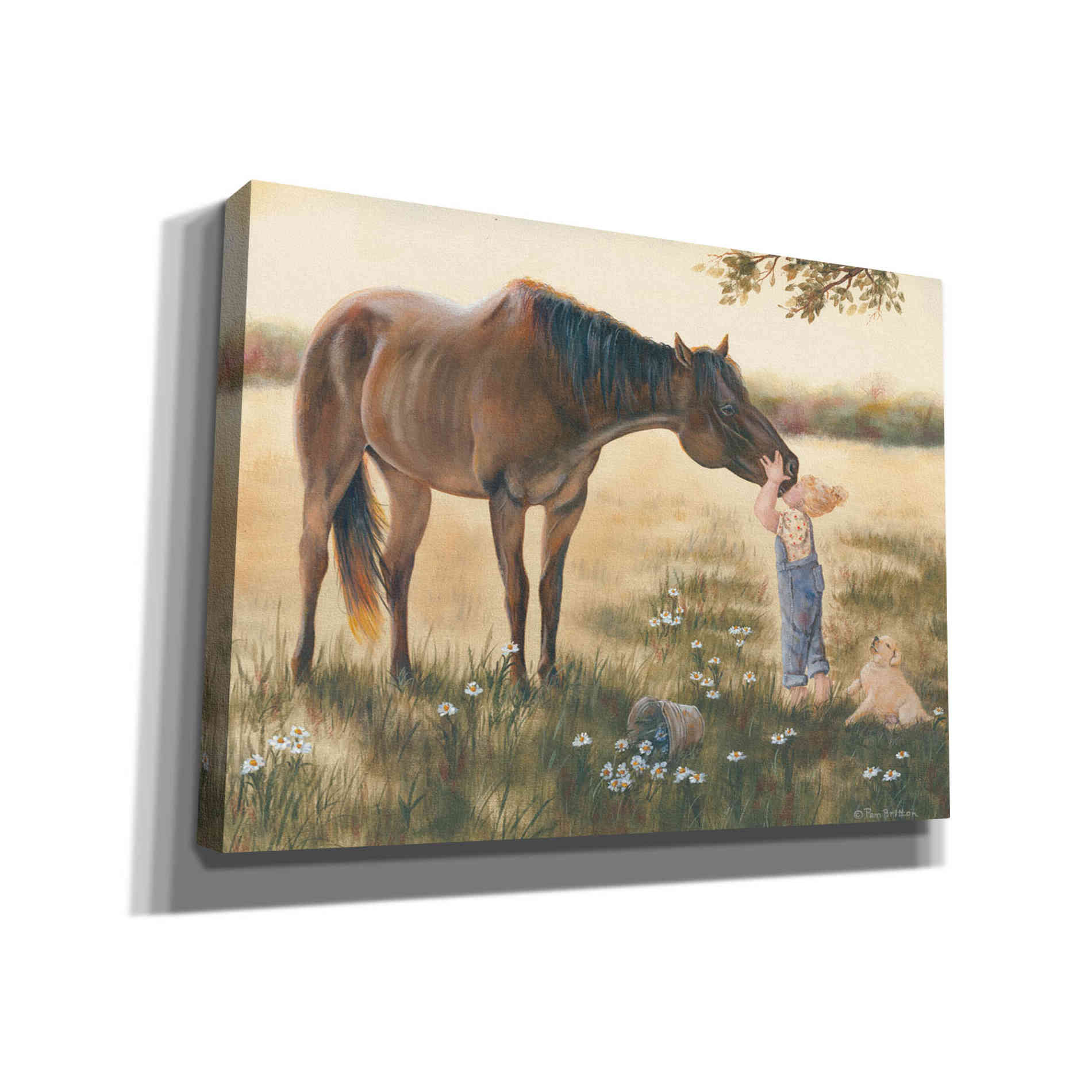 'Good Friends II' by Pam Britton, Canvas Wall Art