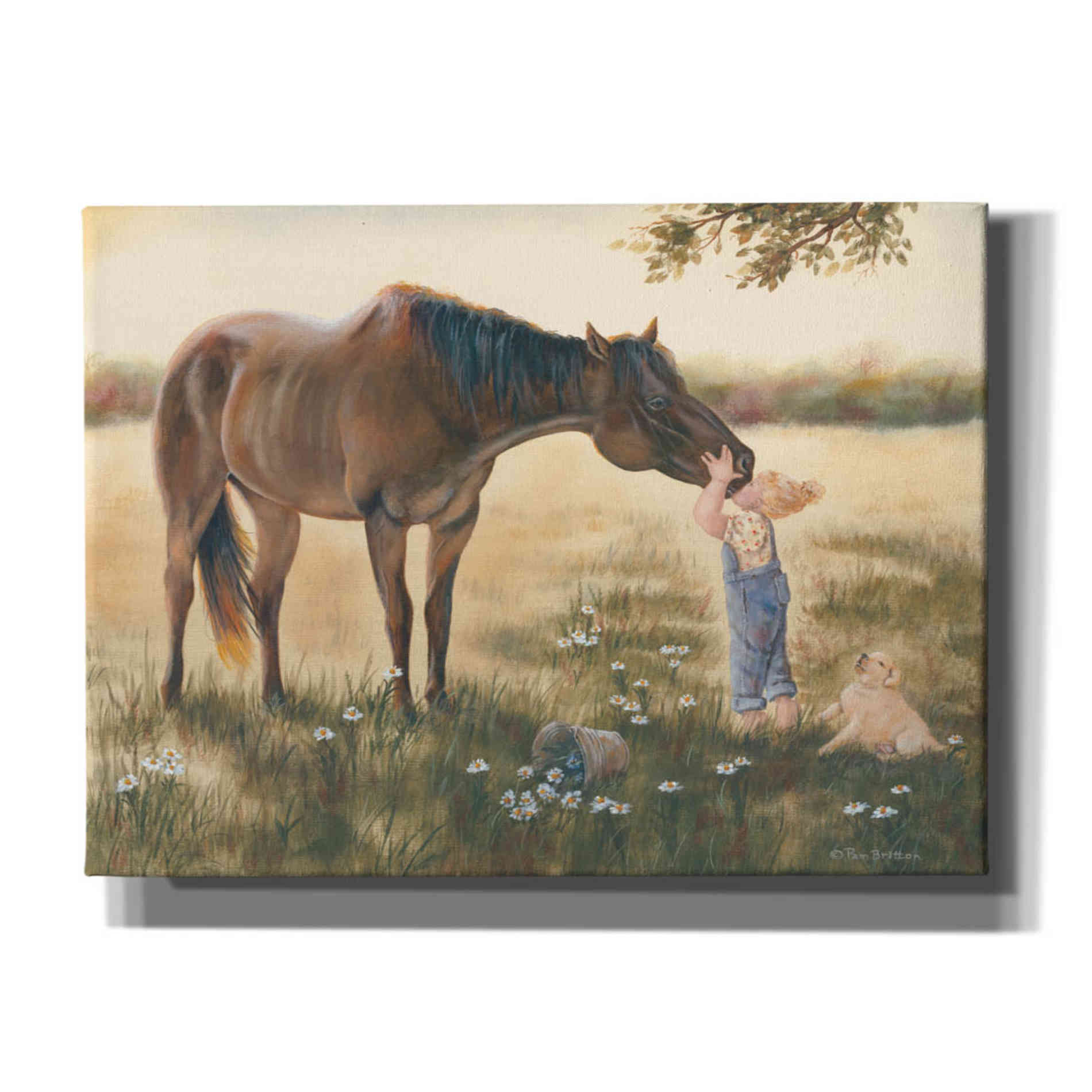 'Good Friends II' by Pam Britton, Canvas Wall Art