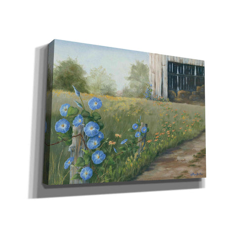 Image of 'Morning Glories & Hay Barn' by Pam Britton, Canvas Wall Art