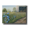 'Morning Glories & Hay Barn' by Pam Britton, Canvas Wall Art
