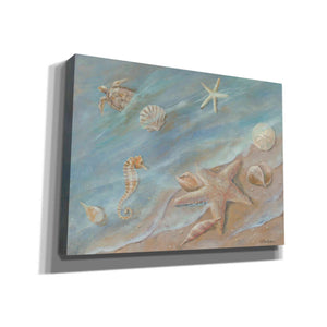 'Seashore Star I' by Pam Britton, Canvas Wall Art