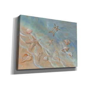'Seashore Star II' by Pam Britton, Canvas Wall Art