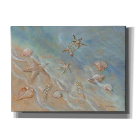 Image of 'Seashore Star II' by Pam Britton, Canvas Wall Art