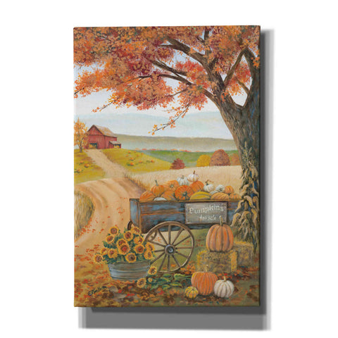 Image of 'Harvest Pumpkins' by Pam Britton, Canvas Wall Art