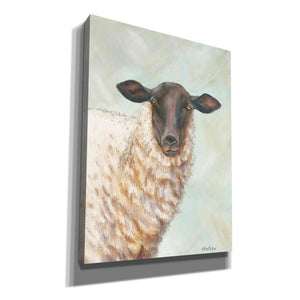 'Farm Sheep' by Pam Britton, Canvas Wall Art