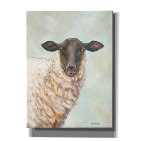 Image of 'Farm Sheep' by Pam Britton, Canvas Wall Art