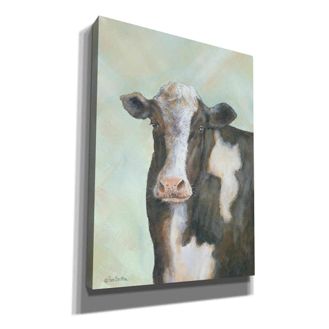 Image of 'Farm Cow' by Pam Britton, Canvas Wall Art