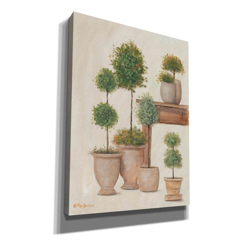 Image of 'Potting Bench & Topiaries I' by Pam Britton, Canvas Wall Art