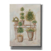 'Potting Bench & Topiaries II' by Pam Britton, Canvas Wall Art