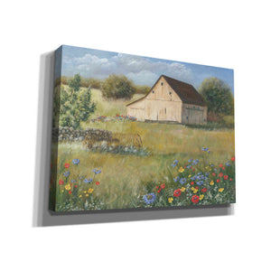 'Country Wildflowers I' by Pam Britton, Canvas Wall Art