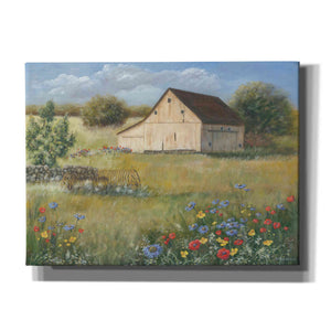 'Country Wildflowers I' by Pam Britton, Canvas Wall Art