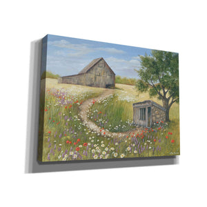 'Country Wildflowers II' by Pam Britton, Canvas Wall Art