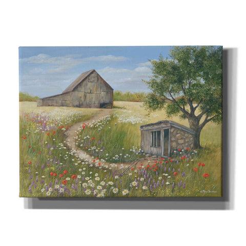Image of 'Country Wildflowers II' by Pam Britton, Canvas Wall Art