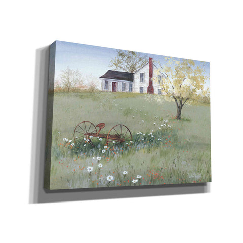 Image of 'The Old Plow' by Pam Britton, Canvas Wall Art