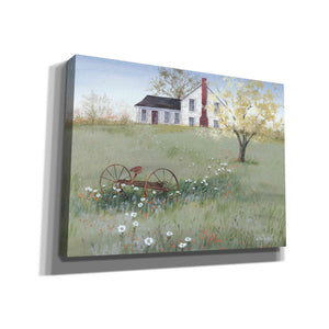 'The Old Plow' by Pam Britton, Canvas Wall Art