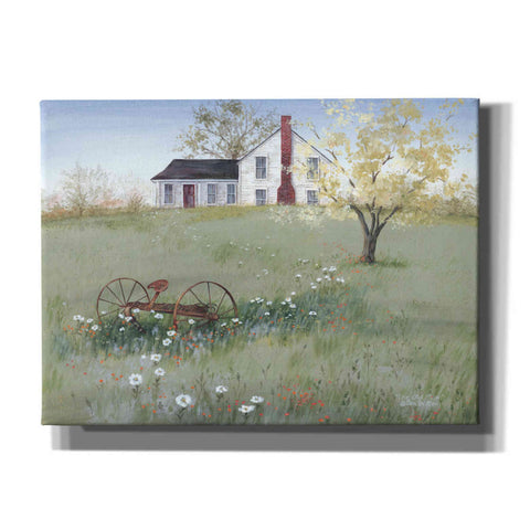 Image of 'The Old Plow' by Pam Britton, Canvas Wall Art