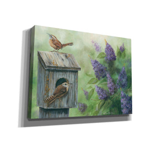 'Wrens & Lilacs' by Pam Britton, Canvas Wall Art