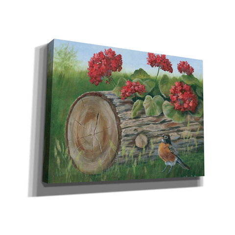 Image of 'Robin & Germaniums' by Pam Britton, Canvas Wall Art