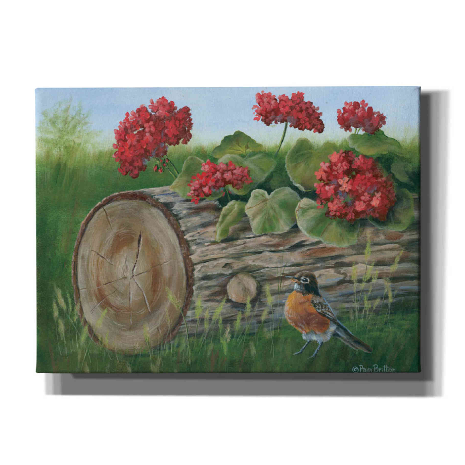 'Robin & Germaniums' by Pam Britton, Canvas Wall Art