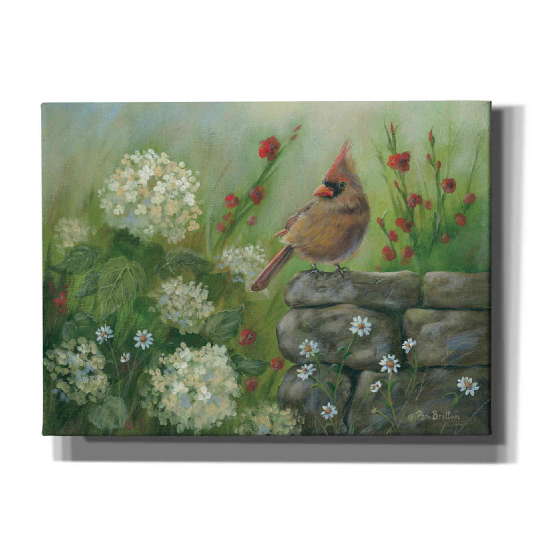 'Cardinal & Hydrangeas' by Pam Britton, Canvas Wall Art