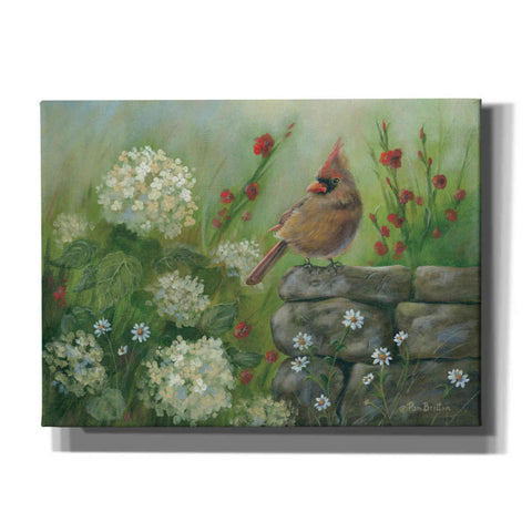 Image of 'Cardinal & Hydrangeas' by Pam Britton, Canvas Wall Art