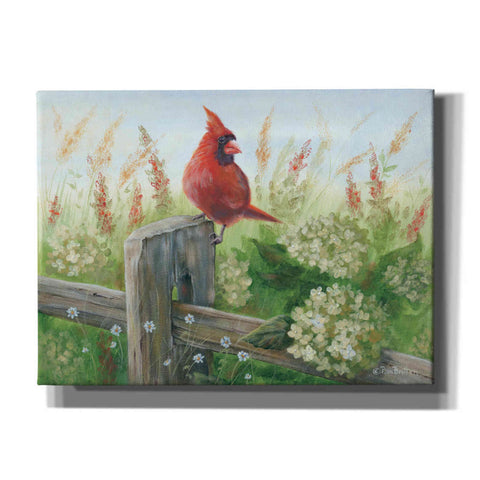 Image of 'Cardinal on Fence' by Pam Britton, Canvas Wall Art